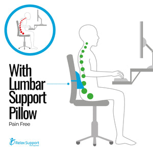 RS1 Back Support Pillow